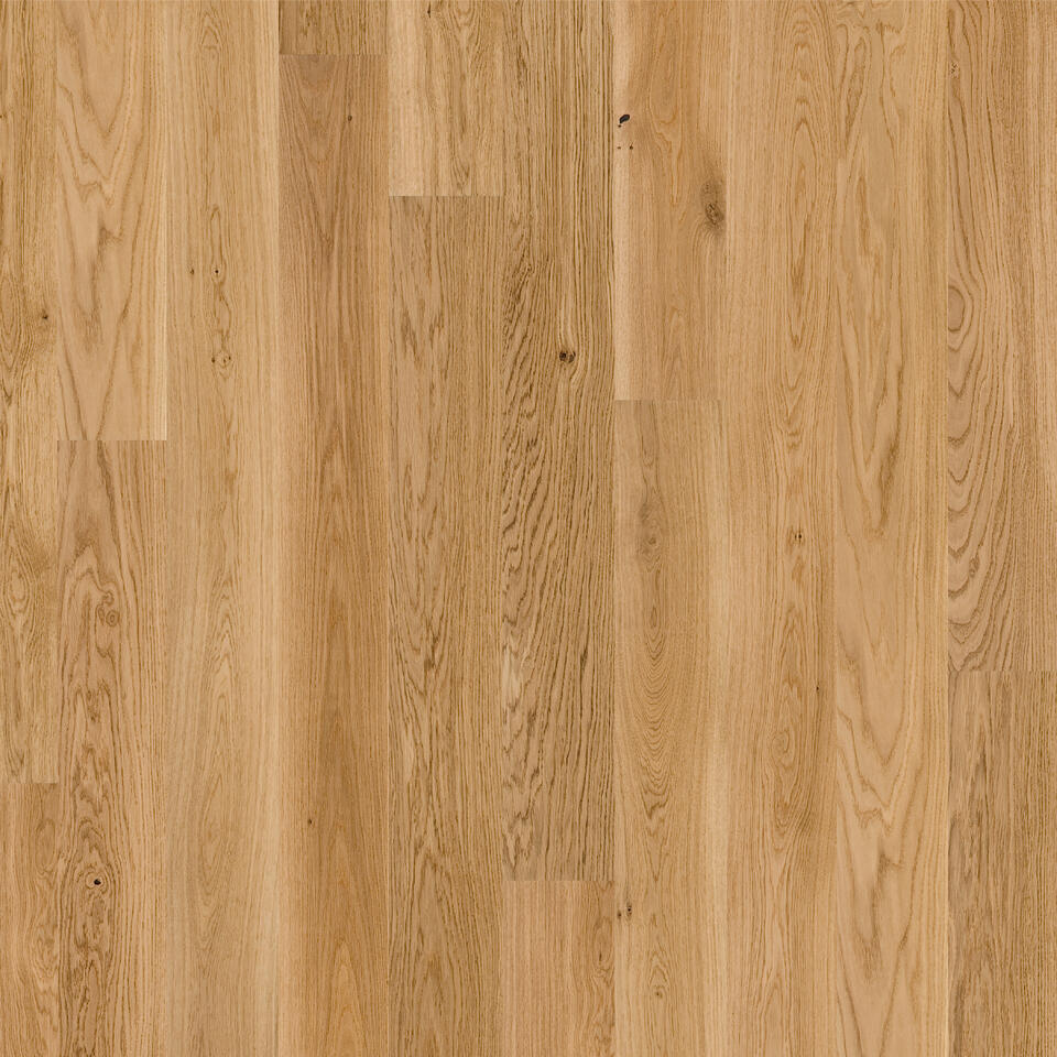Plank Parke